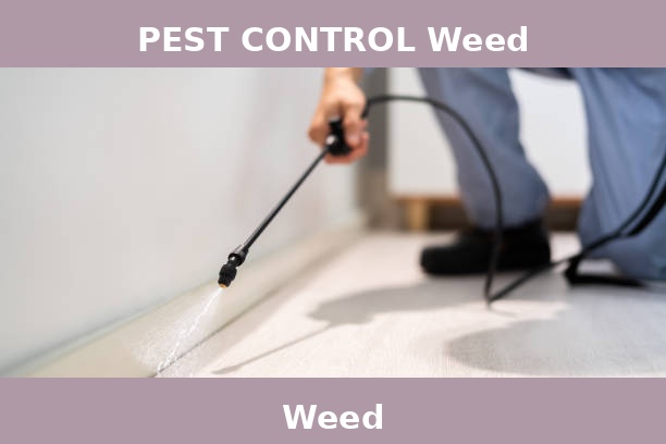 PEST CONTROL Weed